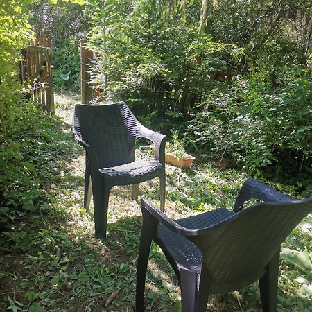 Cosy 2 Rooms Apartment With A View Near The Forest Predeal Exterior foto