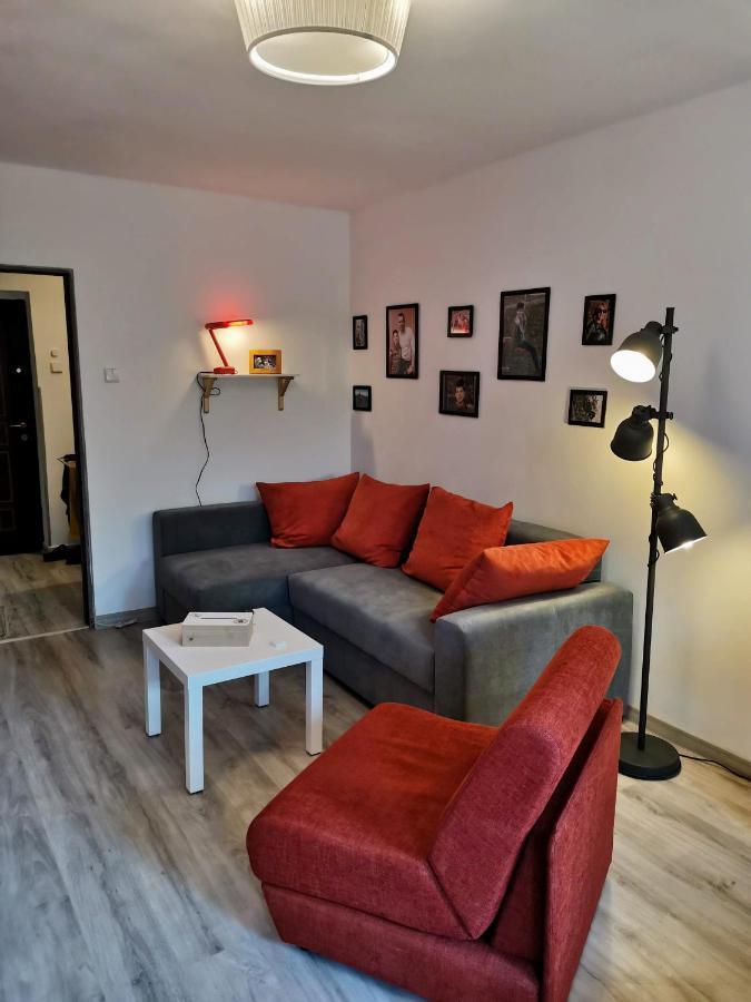Cosy 2 Rooms Apartment With A View Near The Forest Predeal Exterior foto